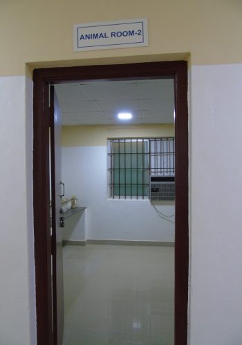 DSC00012