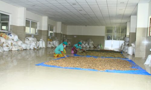 Shade drying area